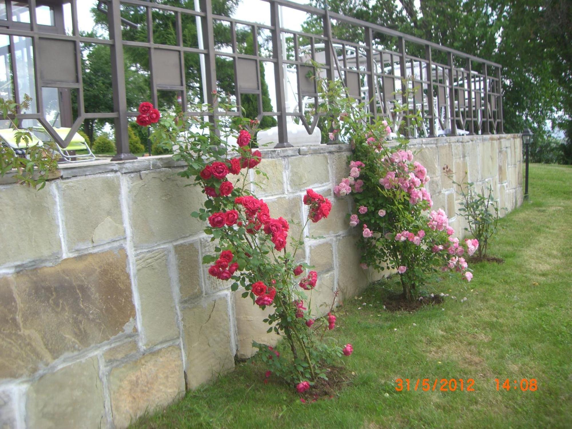 Park Hotel Arbanassi Dış mekan fotoğraf